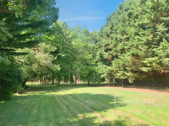 Garden 2