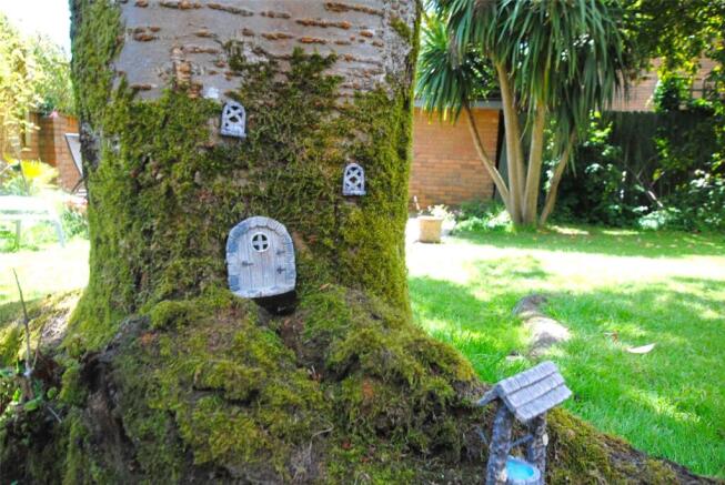 Tree Fairies
