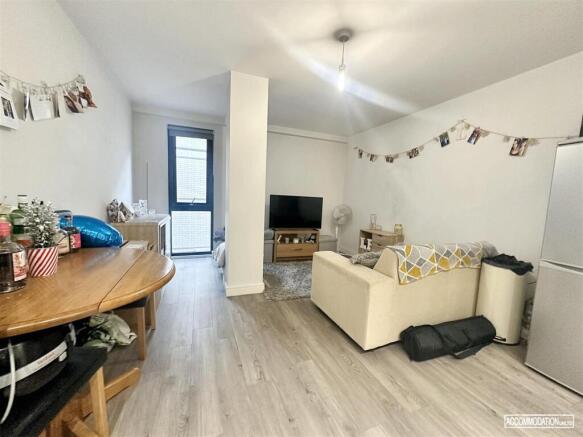Open-Plan Living Room and Kitchen