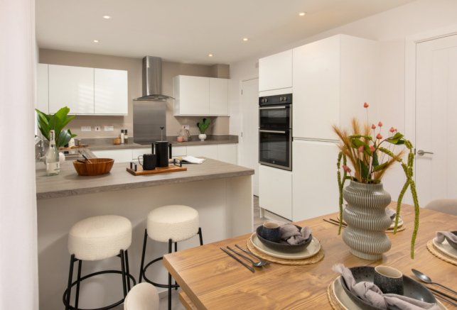 Laurel-Frampton-Kitchen