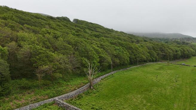 DJI_20260522145102_0050_D.JPG