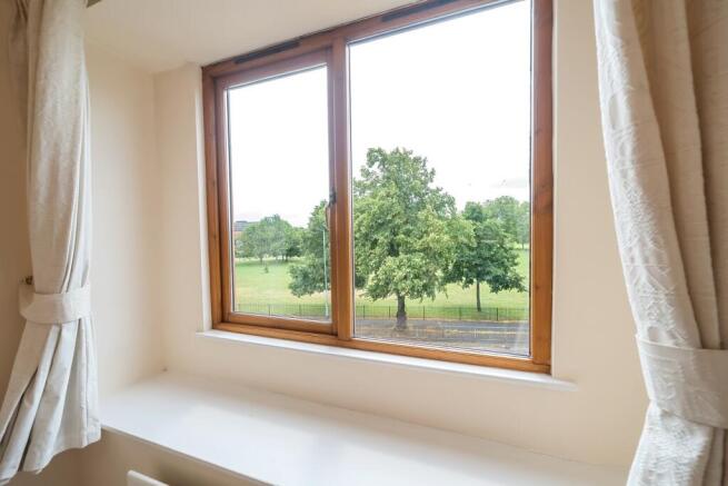 View from Living Room