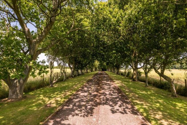 Driveway