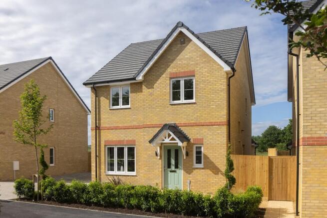 theorpine external 2