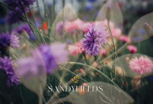 Flowers Sandyfields