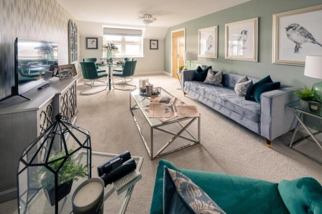 Show home living room