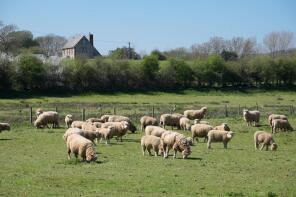 Fulford Farm, Hale Common, Horringford, Arreton PO30 3AP