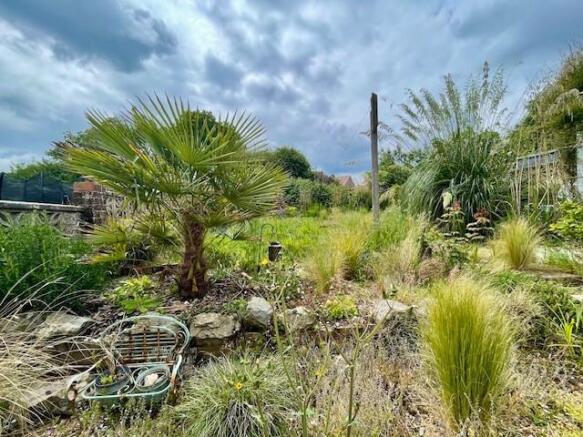 Garden.jpg