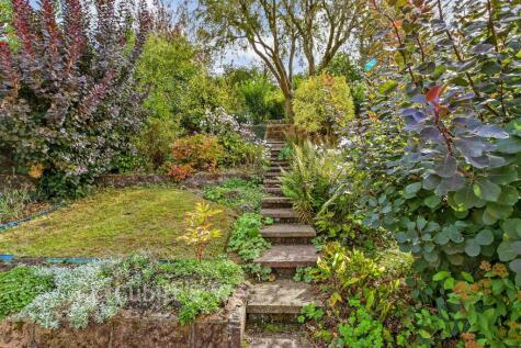 Mackie Avenue, Brighton, East Sussex