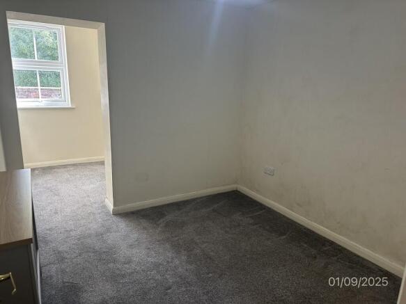 IMG_4623