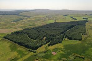 Rough Diamond Farm, Drumclog Highway, Drumclog, Strathaven ML10 6QJ