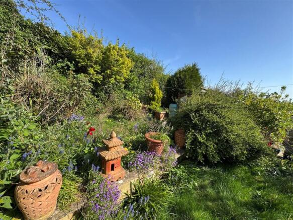 Garden (1).jpg