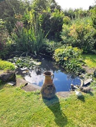garden 1.jpg