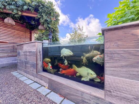 Raised Fish Pond (fish not included)