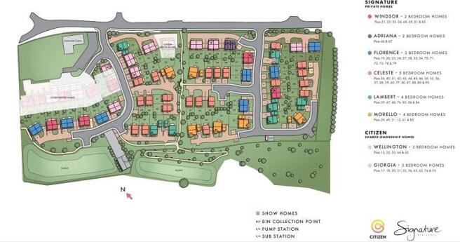 Site Plan