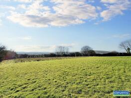 Whiddon Goyle, Road From Harlyn To Whiddon Court, Okehampton EX20 2QJ