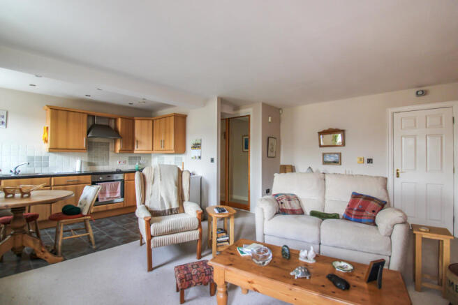 Living/Kitchen Area