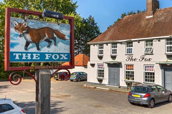 The Fox_18.jpg