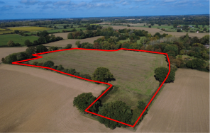 Hawthorns, Hall Road, Saxmundham IP17 1LH