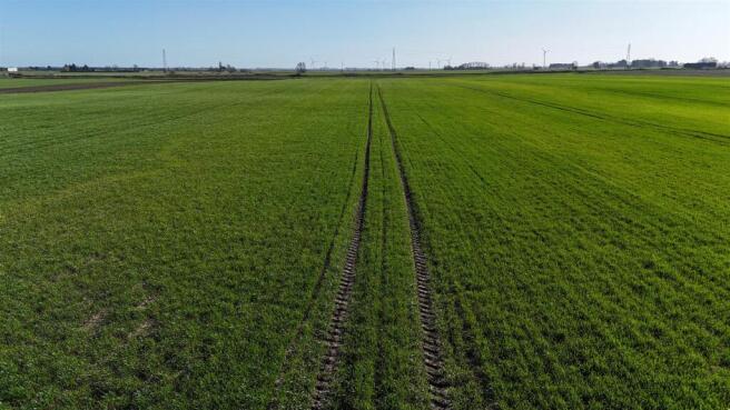 DJI_20260317145901_0158_D.JPG