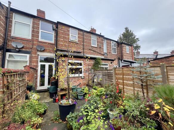 b.JPG