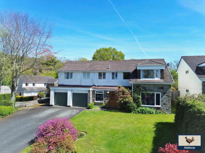 Whitchurch, PL19