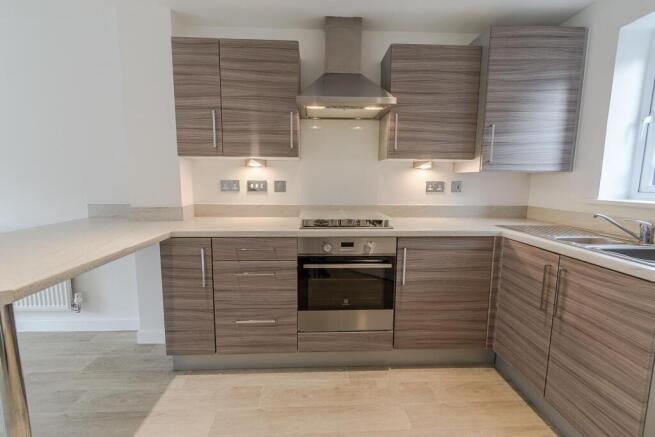 Kitchen / Living / Dining