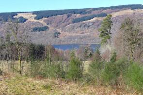 2 Pheasant Field, Ardkinglas Estate Roads, Cairndow PA26 8BH