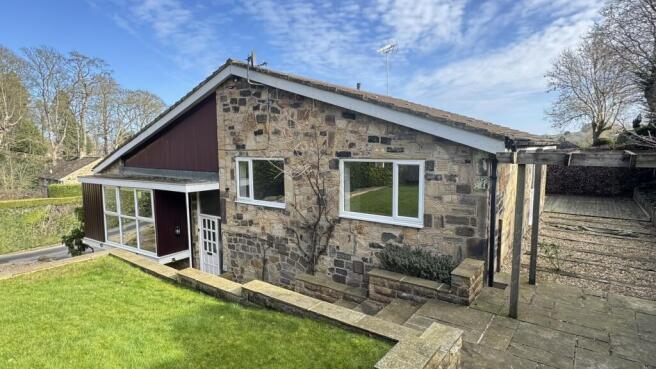 IMG_5766.JPEG