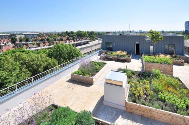 Terrace / Patio