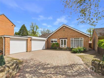 Blackwell Grove, Darlington, Durham, DL3