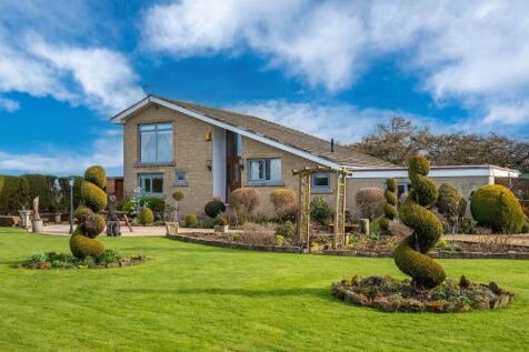 Haggerston Flowers, Haggerston, Berwick-Upon-Tweed, TD15 2NZ