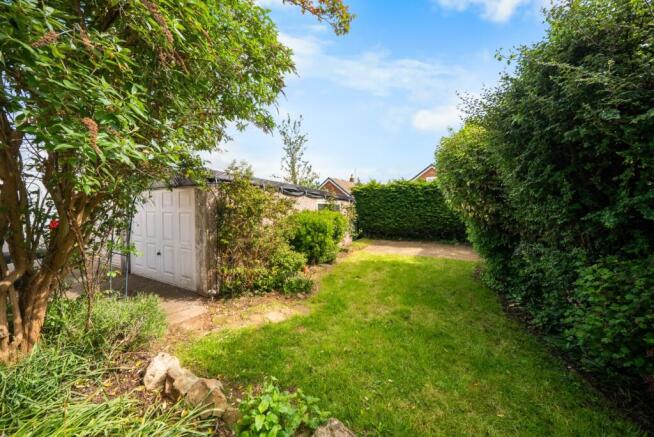Back Garden