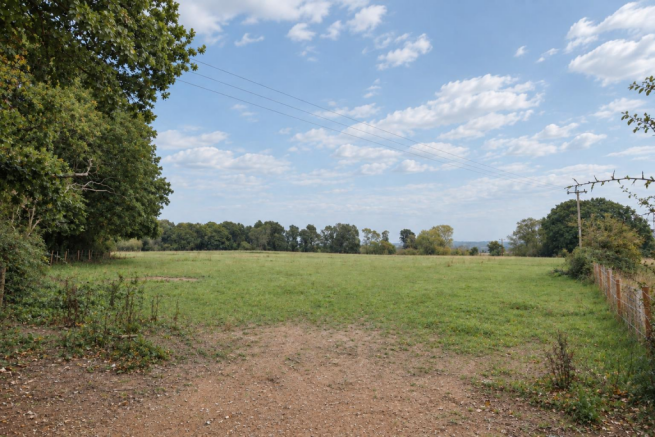 Daisy Hill 2