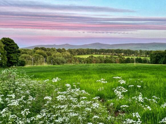 Bennachie View