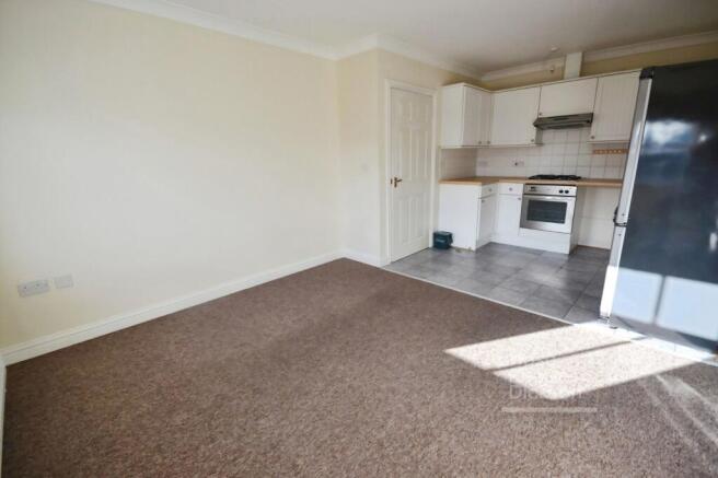 Kitchen/Living Room