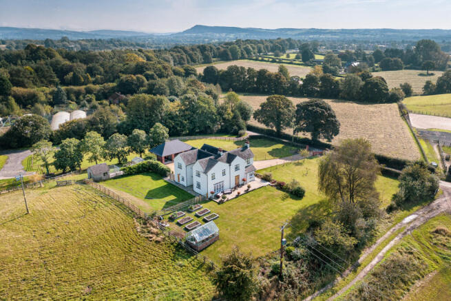 Fern Hill