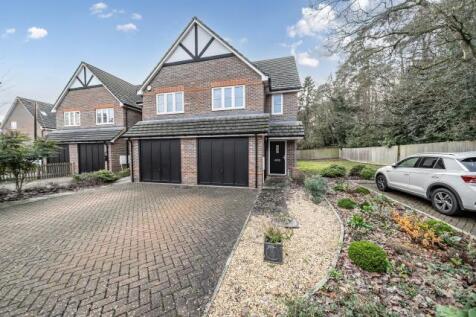 Ballin Gardens, Ascot