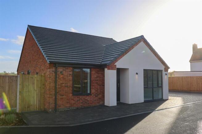 Copper Beech Close-1.jpg