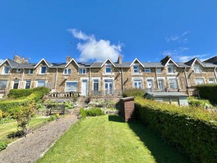 Institute Terrace, Billy Row, Crook