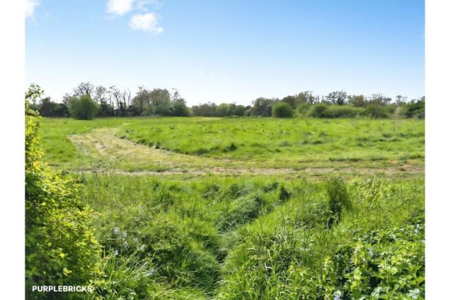 Field