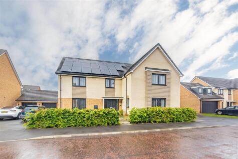 Whiteadmiral Place, NE13
