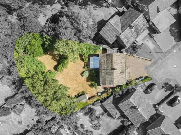 DJI_0155.jpg