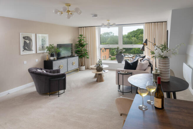 Show home living room