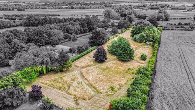 Aerial Shot