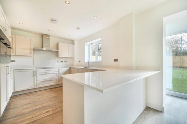 Example Violet