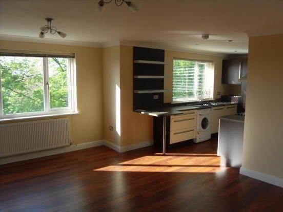 Living Kitchen