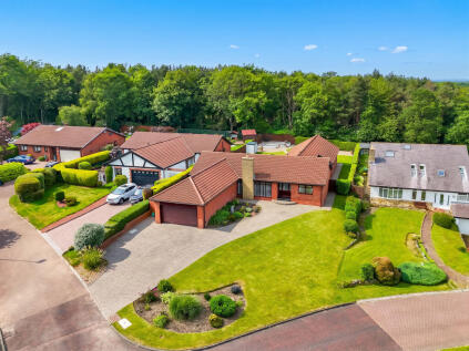 Wentworth Drive, Washington, Tyne & Wear