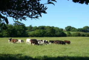 Featherlands, Road From West Ugworthy Cross To Vognacott Cross, Holsworthy EX22 7NH