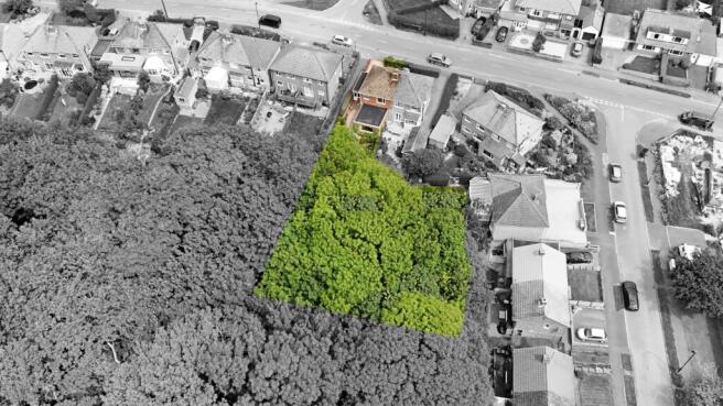 Plot Size